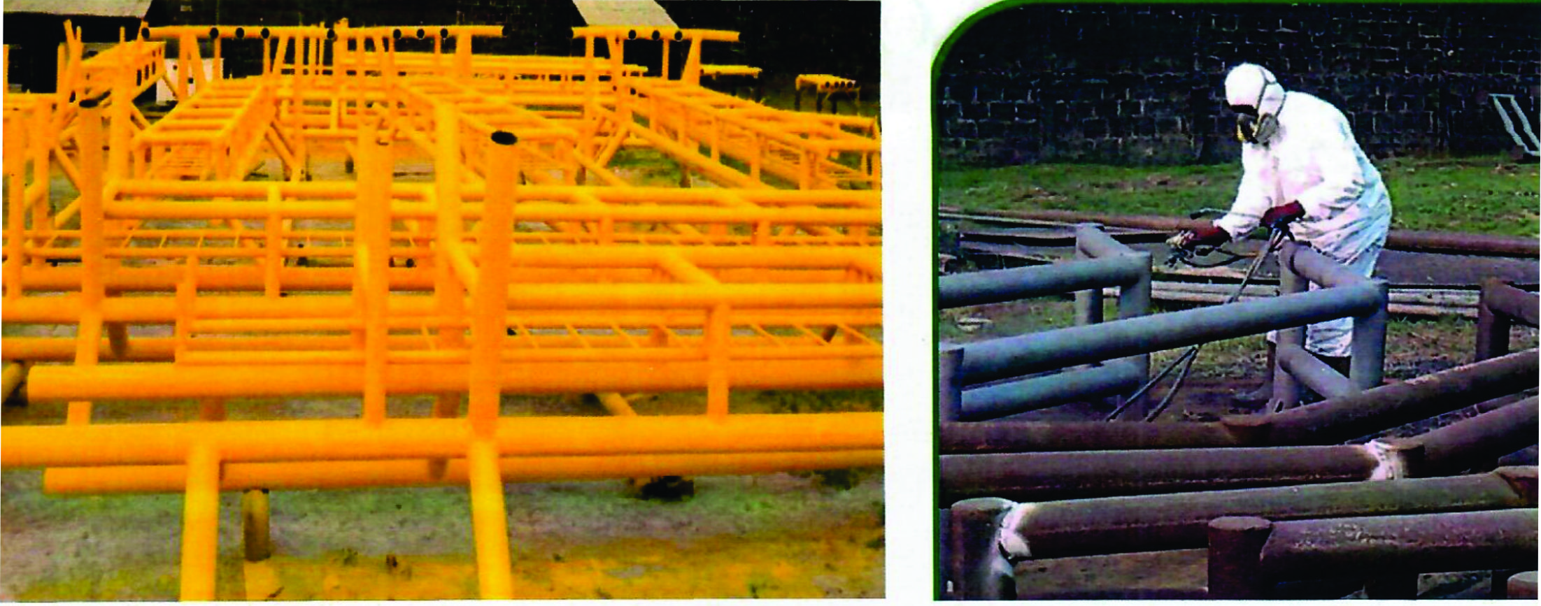 Finished Product of Scaffer Ladder (BENE-PROJECT 2019)